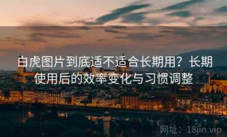 白虎图片到底适不适合长期用？长期使用后的效率变化与习惯调整