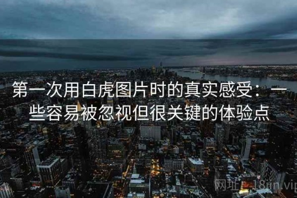 第一次用白虎图片时的真实感受：一些容易被忽视但很关键的体验点