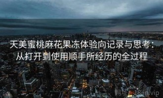 天美蜜桃麻花果冻体验向记录与思考：从打开到使用顺手所经历的全过程