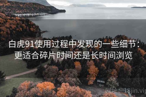 白虎91使用过程中发现的一些细节：更适合碎片时间还是长时间浏览