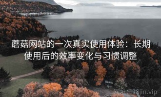 蘑菇网站的一次真实使用体验：长期使用后的效率变化与习惯调整