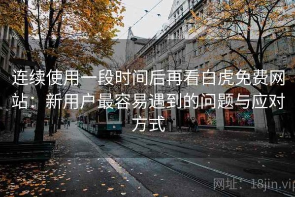连续使用一段时间后再看白虎免费网站：新用户最容易遇到的问题与应对方式