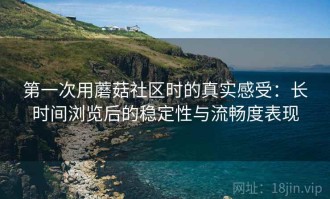 第一次用蘑菇社区时的真实感受：长时间浏览后的稳定性与流畅度表现