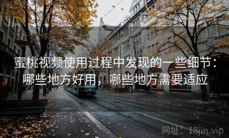 蜜桃视频使用过程中发现的一些细节：哪些地方好用，哪些地方需要适应