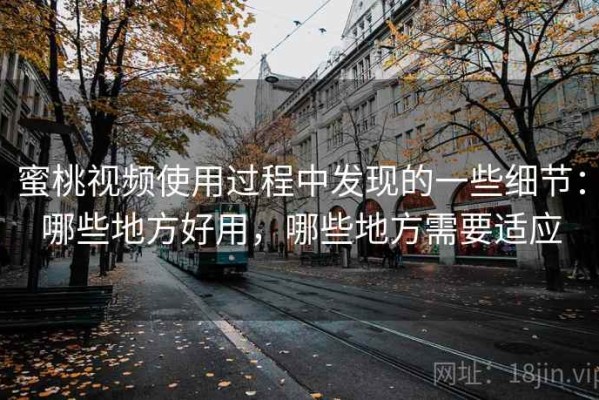 蜜桃视频使用过程中发现的一些细节：哪些地方好用，哪些地方需要适应
