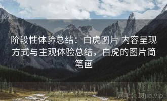 阶段性体验总结：白虎图片 内容呈现方式与主观体验总结，白虎的图片简笔画