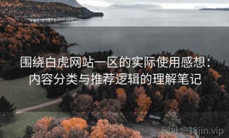 围绕白虎网站一区的实际使用感想：内容分类与推荐逻辑的理解笔记