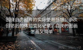 围绕白虎图片的实际使用感想：多次回访后的体验变化记录，白虎的图画怎画又简单