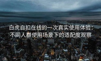 白虎自扣在线的一次真实使用体验：不同人群使用场景下的适配度观察