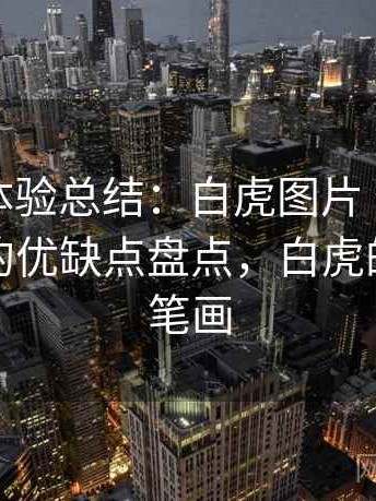 阶段性体验总结：白虎图片 普通用户视角下的优缺点盘点，白虎的图片简笔画