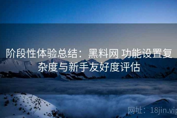 阶段性体验总结：黑料网 功能设置复杂度与新手友好度评估