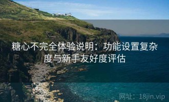 糖心不完全体验说明：功能设置复杂度与新手友好度评估
