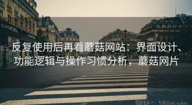 反复使用后再看蘑菇网站：界面设计、功能逻辑与操作习惯分析，蘑菇网片