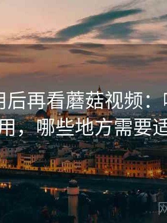反复使用后再看蘑菇视频：哪些地方好用，哪些地方需要适应