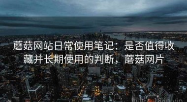 蘑菇网站日常使用笔记：是否值得收藏并长期使用的判断，蘑菇网片