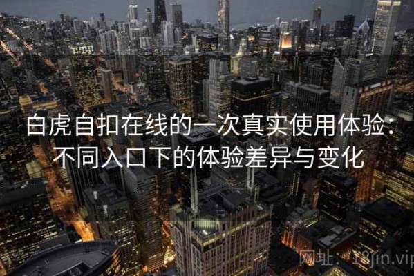 白虎自扣在线的一次真实使用体验：不同入口下的体验差异与变化