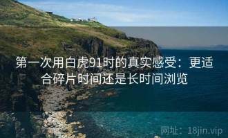 第一次用白虎91时的真实感受：更适合碎片时间还是长时间浏览