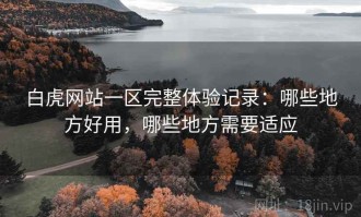 白虎网站一区完整体验记录：哪些地方好用，哪些地方需要适应