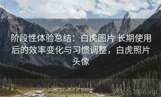 阶段性体验总结：白虎图片 长期使用后的效率变化与习惯调整，白虎照片头像