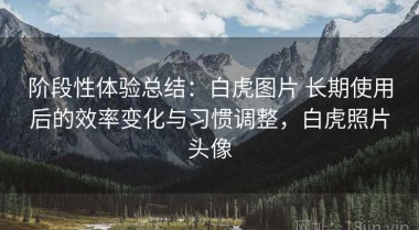 阶段性体验总结：白虎图片 长期使用后的效率变化与习惯调整，白虎照片头像