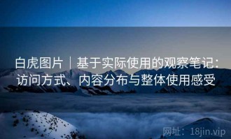白虎图片｜基于实际使用的观察笔记：访问方式、内容分布与整体使用感受