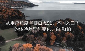 从用户角度聊聊白虎91：不同入口下的体验差异与变化，白虎t恤