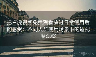 把白虎视频免费观看放进日常使用后的感受：不同人群使用场景下的适配度观察