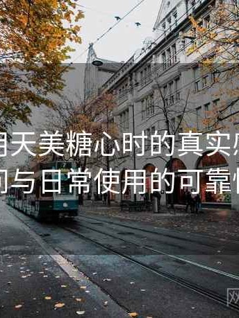 第一次用天美糖心时的真实感受：稳定访问与日常使用的可靠性评估