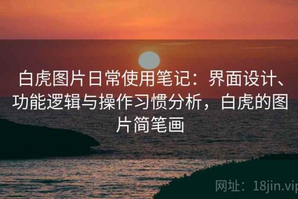 白虎图片日常使用笔记：界面设计、功能逻辑与操作习惯分析，白虎的图片简笔画