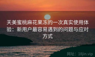 天美蜜桃麻花果冻的一次真实使用体验：新用户最容易遇到的问题与应对方式