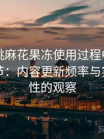 天美蜜桃麻花果冻使用过程中发现的一些细节：内容更新频率与实际可用性的观察