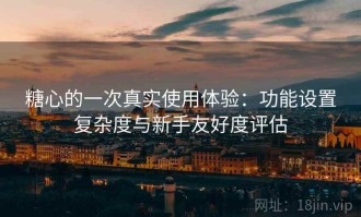 糖心的一次真实使用体验：功能设置复杂度与新手友好度评估