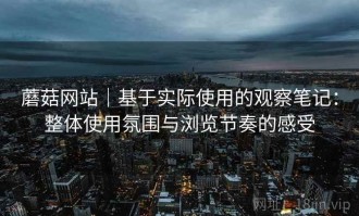 蘑菇网站｜基于实际使用的观察笔记：整体使用氛围与浏览节奏的感受