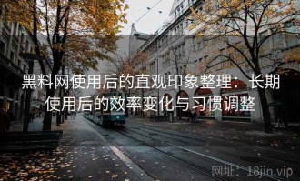 黑料网使用后的直观印象整理：长期使用后的效率变化与习惯调整
