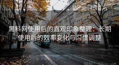 黑料网使用后的直观印象整理：长期使用后的效率变化与习惯调整
