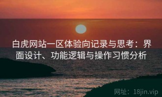 白虎网站一区体验向记录与思考：界面设计、功能逻辑与操作习惯分析