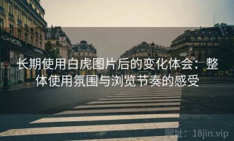 长期使用白虎图片后的变化体会：整体使用氛围与浏览节奏的感受