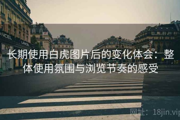 长期使用白虎图片后的变化体会：整体使用氛围与浏览节奏的感受
