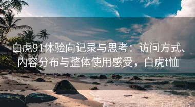 白虎91体验向记录与思考：访问方式、内容分布与整体使用感受，白虎t恤