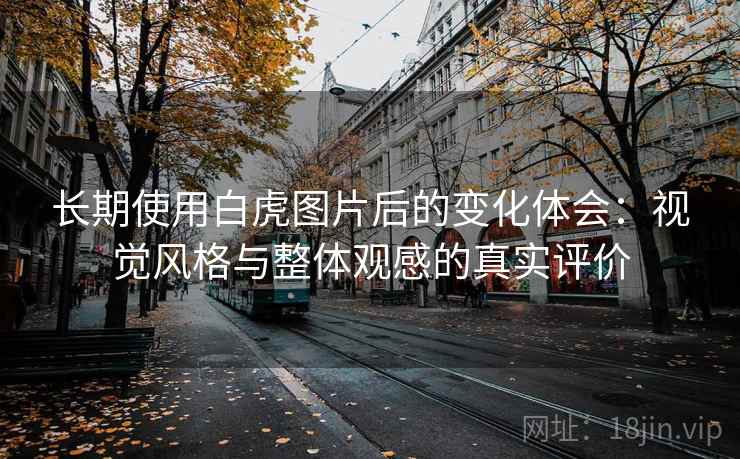 长期使用白虎图片后的变化体会：视觉风格与整体观感的真实评价