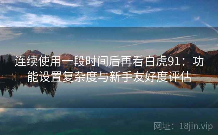 连续使用一段时间后再看白虎91：功能设置复杂度与新手友好度评估