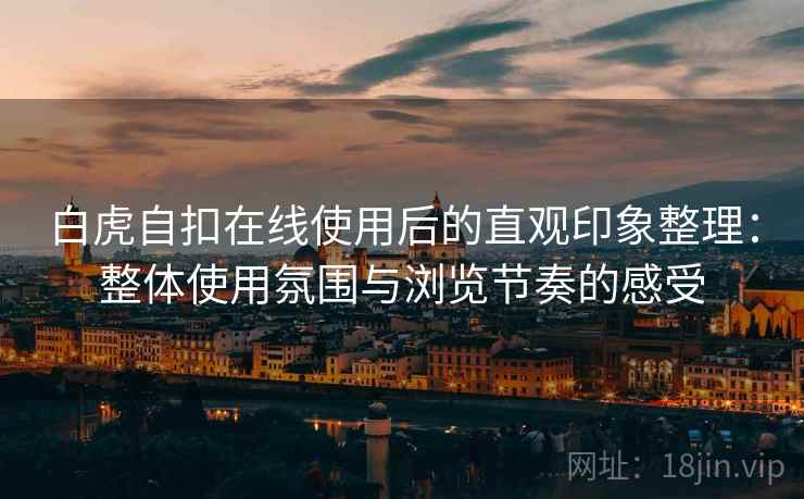 白虎自扣在线使用后的直观印象整理：整体使用氛围与浏览节奏的感受