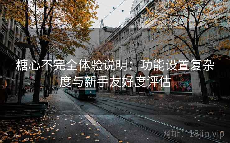 糖心不完全体验说明：功能设置复杂度与新手友好度评估