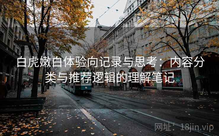 白虎嫩白体验向记录与思考：内容分类与推荐逻辑的理解笔记