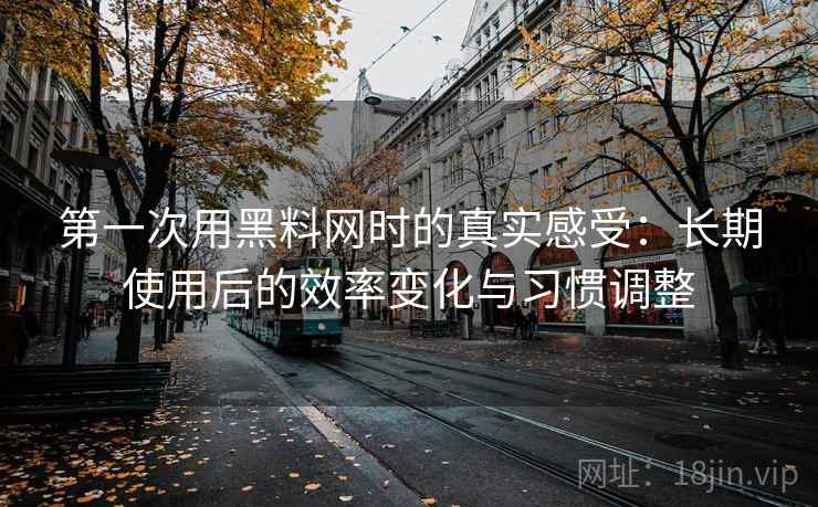 第一次用黑料网时的真实感受：长期使用后的效率变化与习惯调整