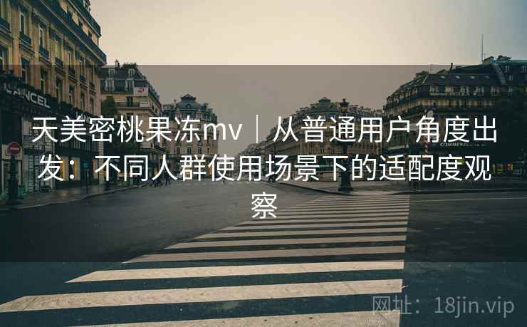 天美密桃果冻mv｜从普通用户角度出发：不同人群使用场景下的适配度观察