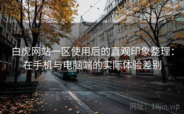 白虎网站一区使用后的直观印象整理：在手机与电脑端的实际体验差别