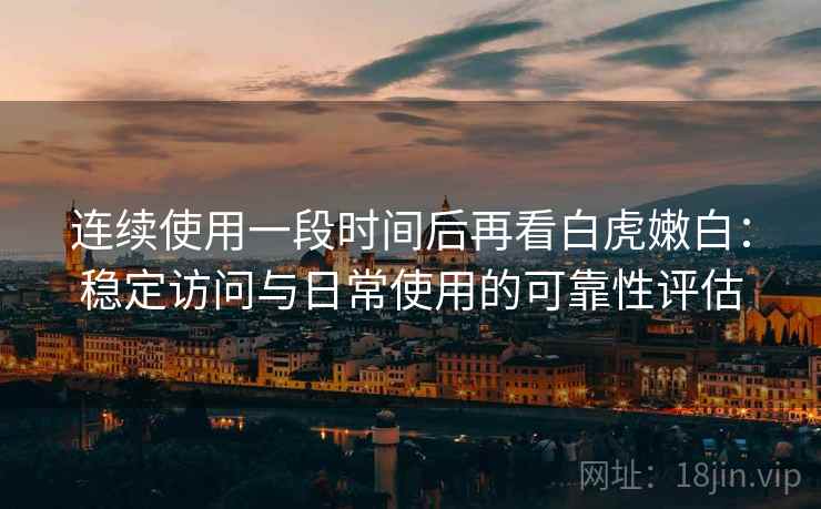 连续使用一段时间后再看白虎嫩白：稳定访问与日常使用的可靠性评估