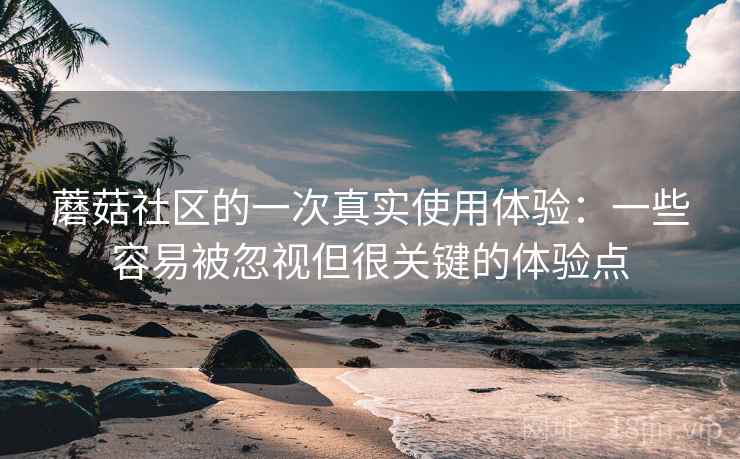 蘑菇社区的一次真实使用体验:一些容易被忽视但很关键的体验点 蘑菇社区的一次真实使用体验:一些容易被忽视但很关键的体验点