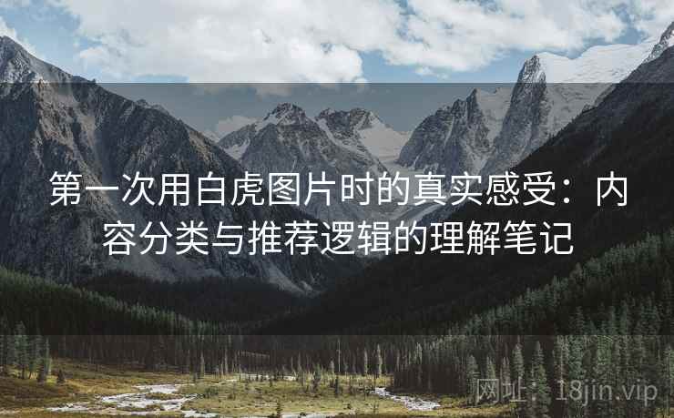 第一次用白虎图片时的真实感受:内容分类与推荐逻辑的理解笔记 第一次用白虎图片时的真实感受:内容分类与推荐逻辑的理解笔记